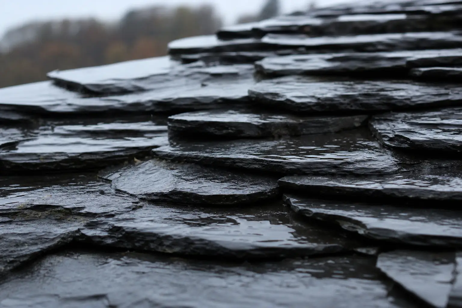Gros plan d'ardoises de toiture ruisselantes après la pluie, reflets sombres