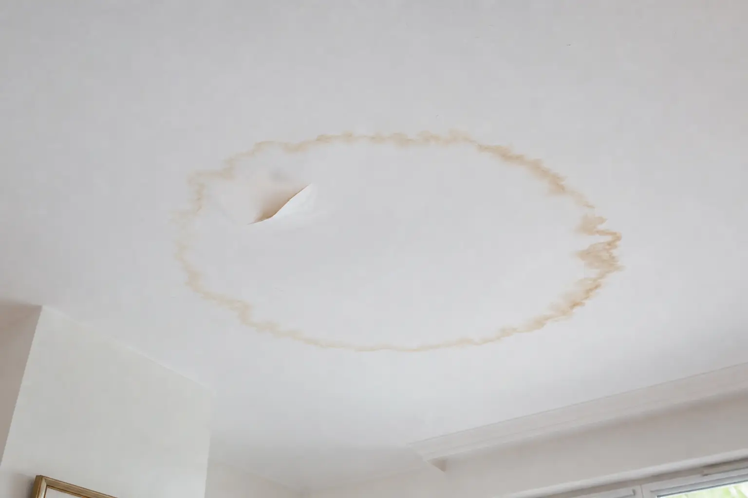 Auréole brune circulaire et cloque de peinture sur un plafond de séjour blanc
