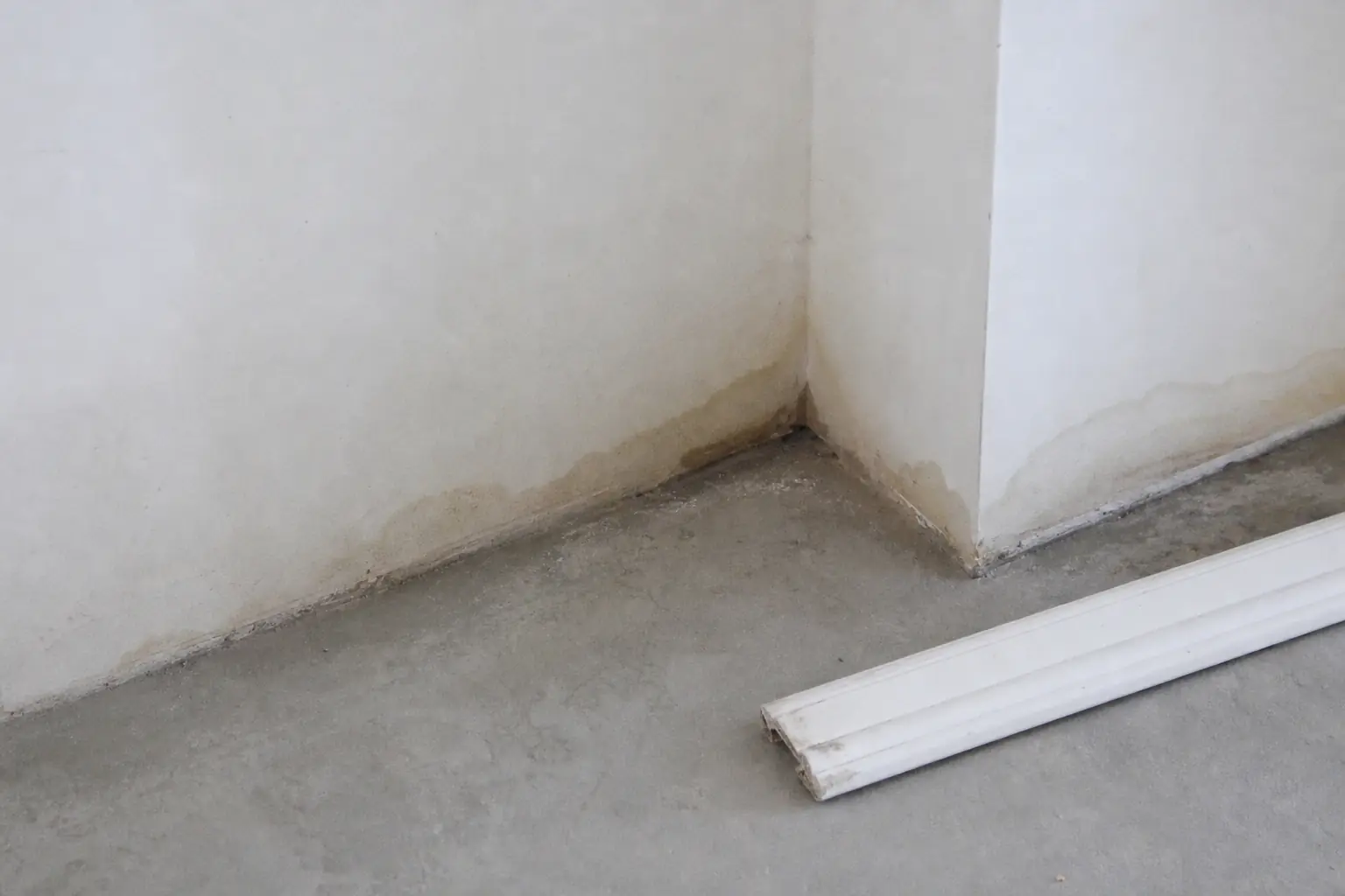 Pied de cloison sur dalle béton marqué par une auréole d'humidité sombre, plinthe déposée au sol
